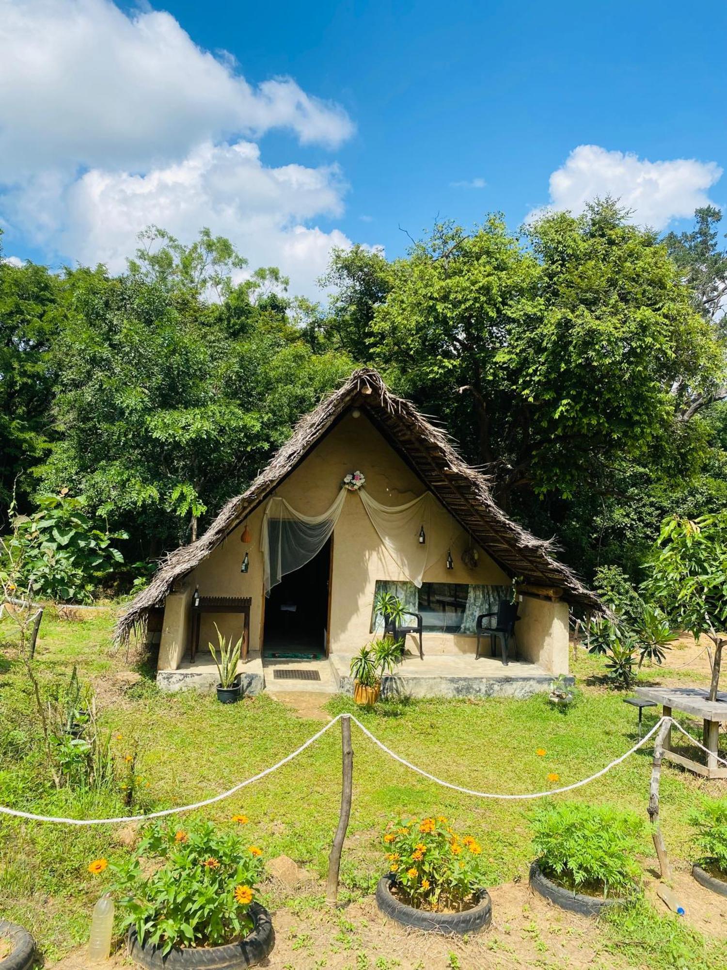 The Forest Edge Resort Dambulla Exterior foto
