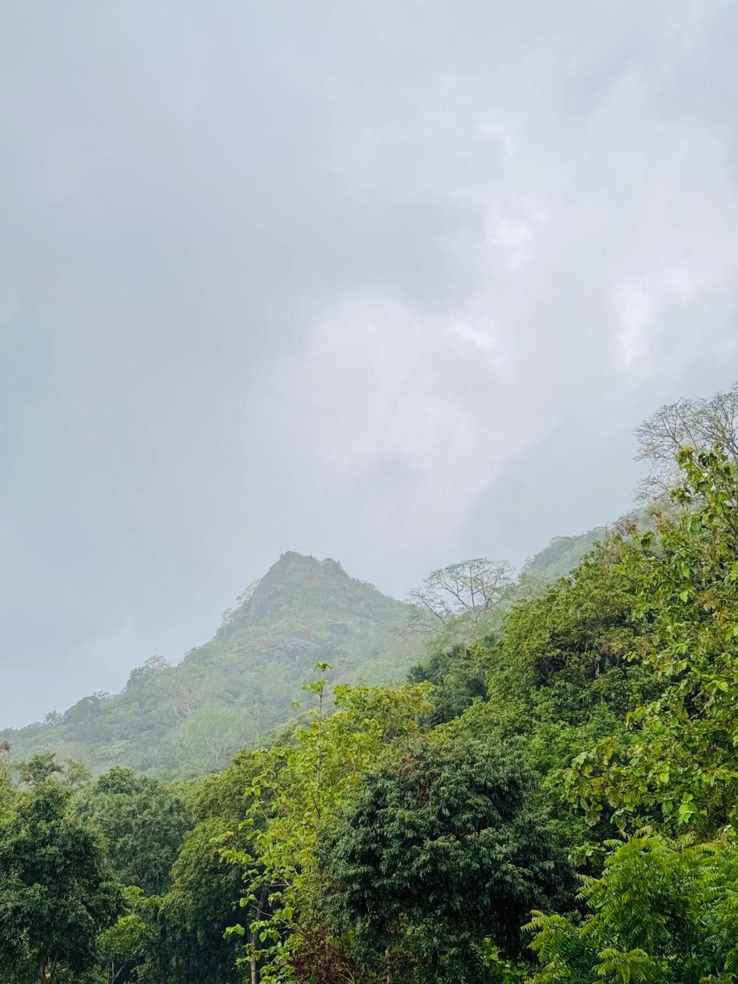 The Forest Edge Resort Dambulla Exterior foto